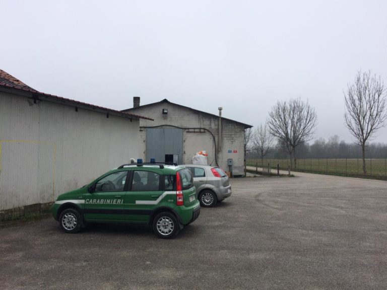 WhatsApp Image 2019-04-09 at 16.02.56