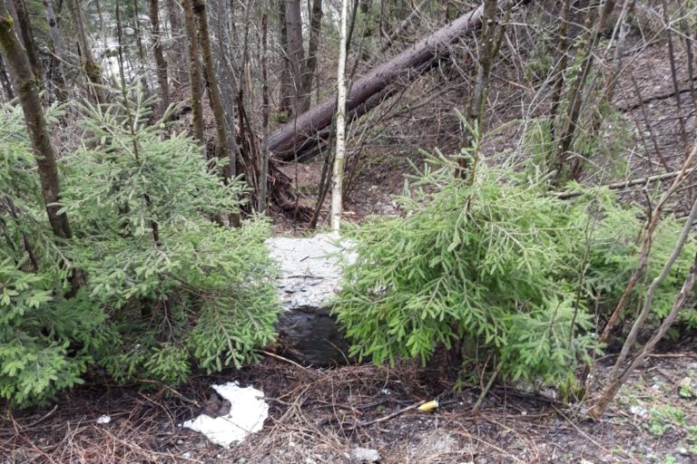 WhatsApp Image 2019-04-12 at 11.30.45 (1)