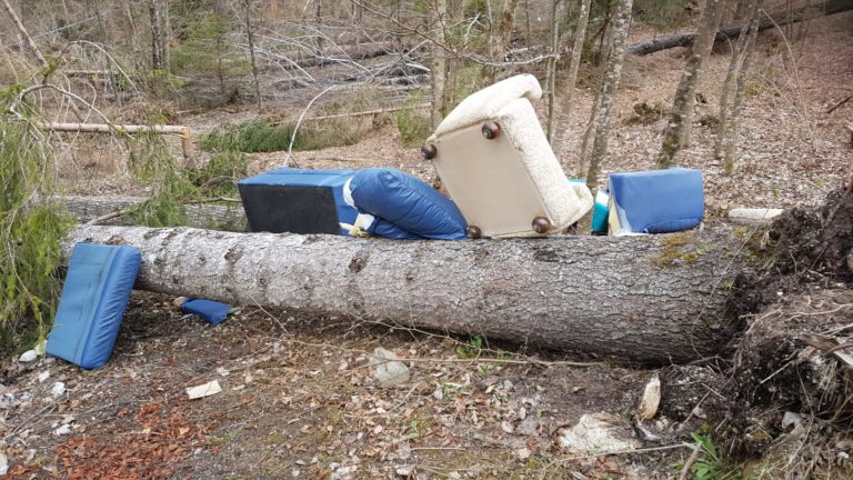 WhatsApp Image 2019-04-12 at 17.02.41