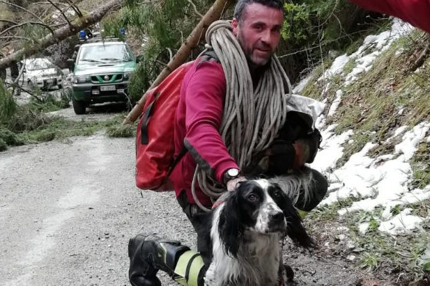 canebellunotre