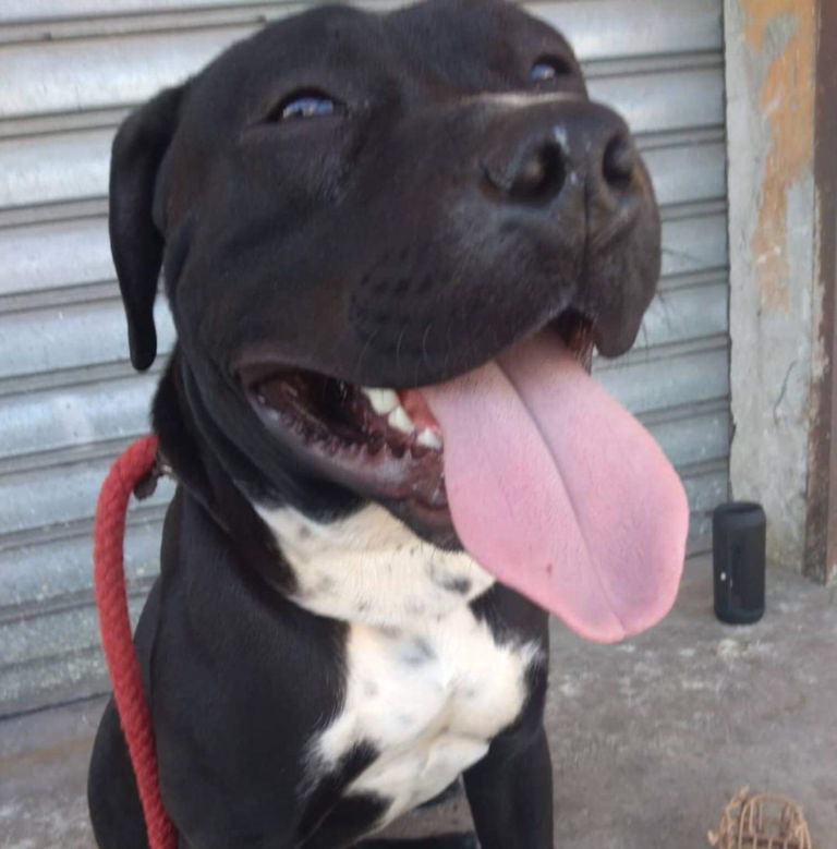 facebook_1555909646549