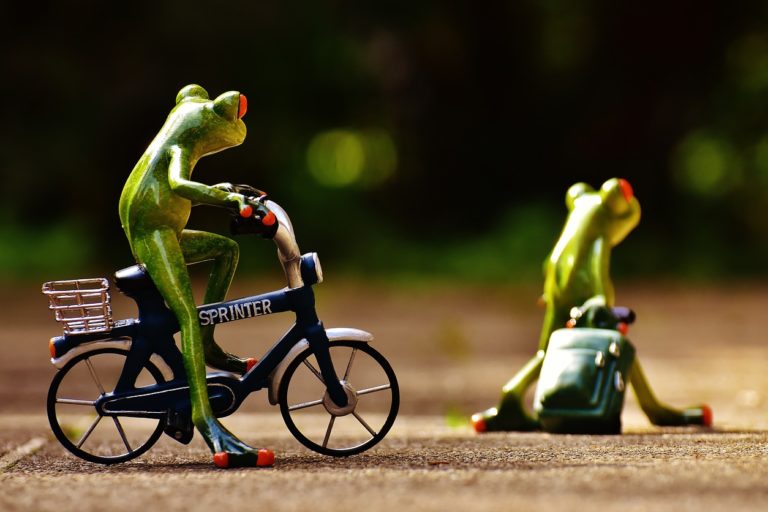 frogs-1701047_1280
