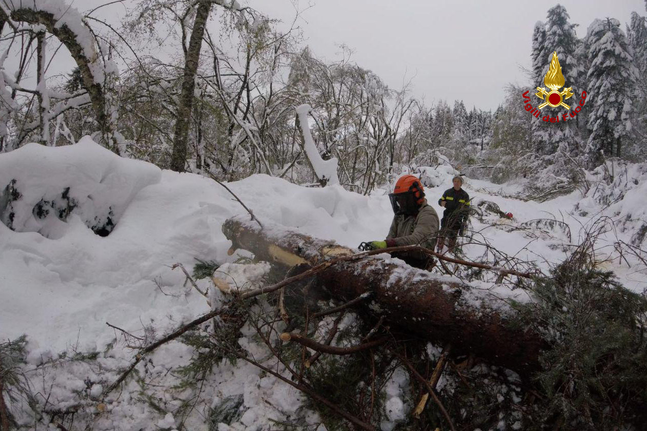 photo_2019-04-29_14-30-02