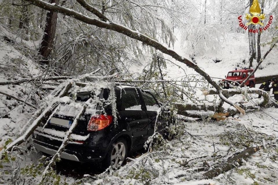 59379738_10219634648083600_2839299821645332480_n