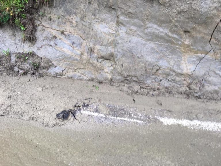 60171986_327001324642822_1561138857393520640_n