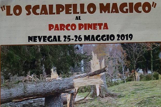 60172524_2916741451670098_7086548132611227648_n