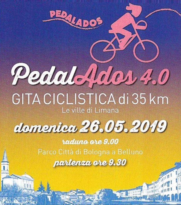 61529202_324147488264251_9046038631113818112_n