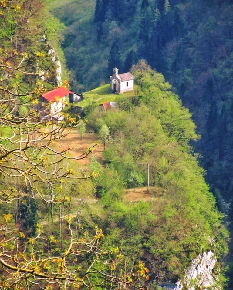 61690321_407158103463162_566717125071208448_n