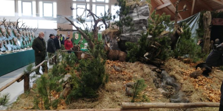 WhatsApp Image 2019-05-05 at 11.03.14