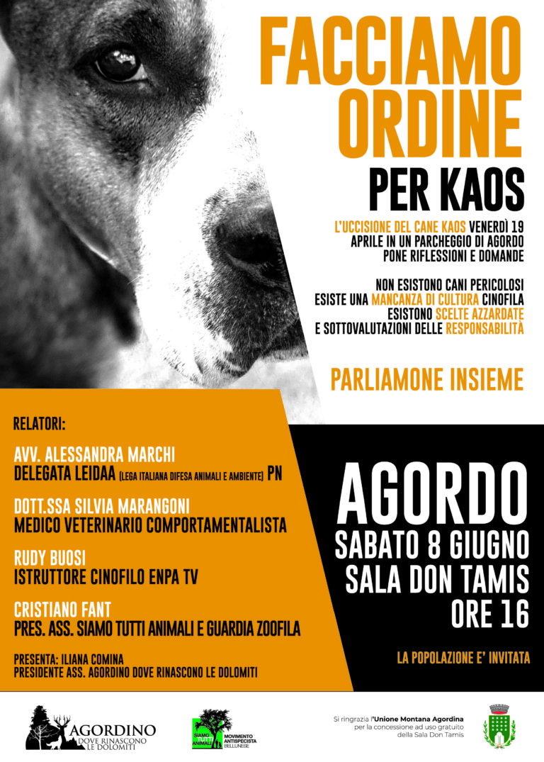 incontro-8-6-kaos-render-1