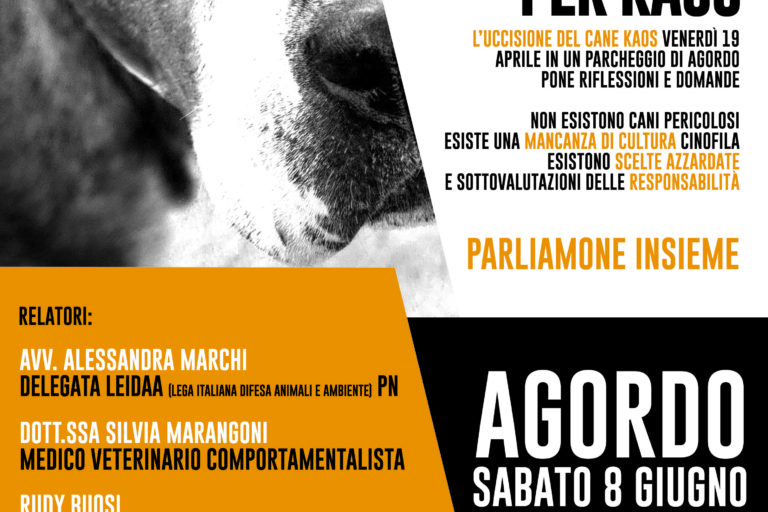 incontro-8-6-kaos-render-1
