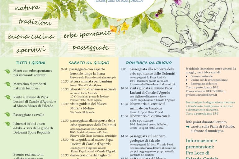 locandina el bon de l’ansuda 2019
