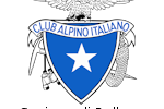 logo_cai