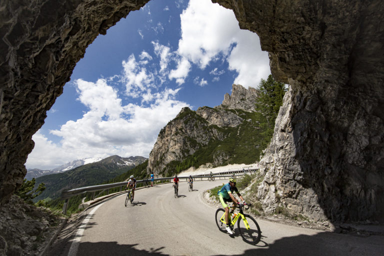 00117© freddy planinschek