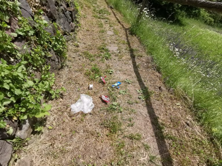 45eba254-ef98-460a-8d65-2fc58b197340