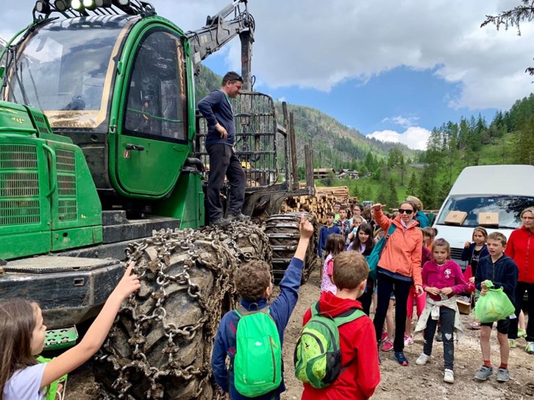 62407153_2628712797181677_6702041443134865408_n