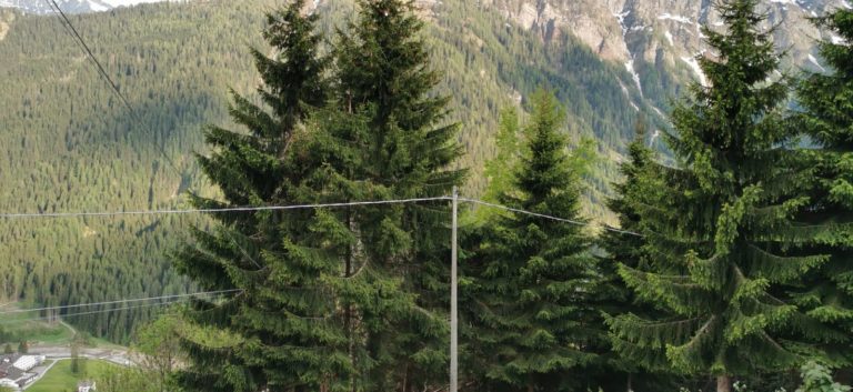 661dafa2-e2d7-4a6f-935d-d0aa5a9537a8