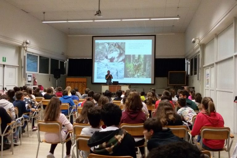 IC FELTRE – Il lupo a scuola (1)