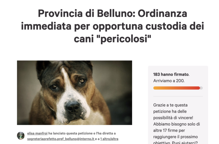 Schermata 2019-06-13 alle 21.14.50