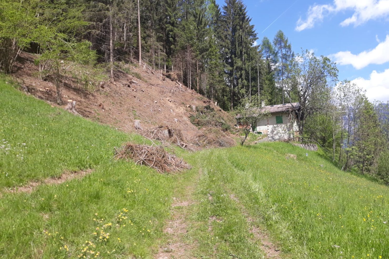 WhatsApp Image 2019-05-31 at 18.07.10