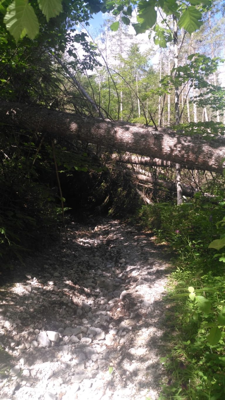 WhatsApp Image 2019-06-16 at 11.35.03