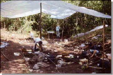 foto n18