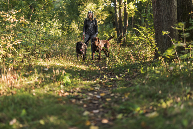 guinzaglio-sorridente-della-tenuta-della-donna-i-suoi-animali-domestici-mentre-camminando-nella-foresta_23-2148045818