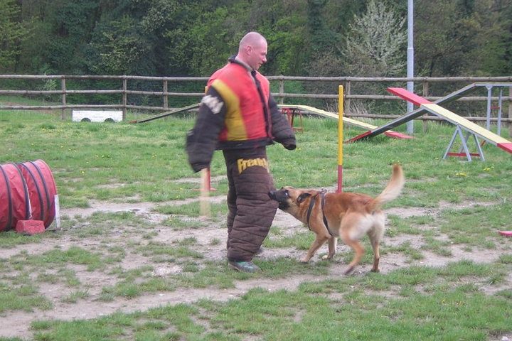 rudi-campo