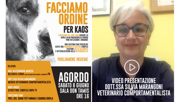 video-presentazione