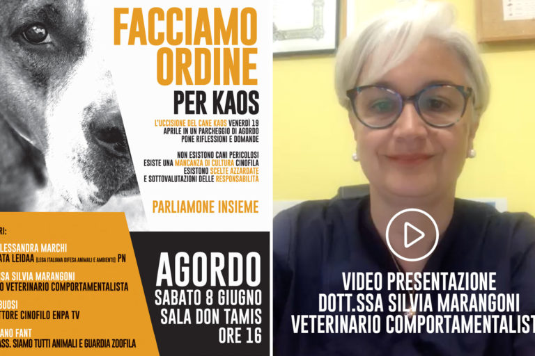 video-presentazione