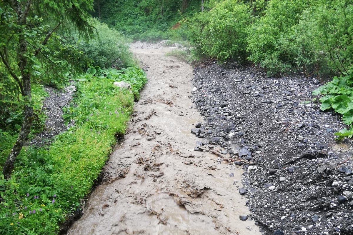 174142d4-6c2c-4a07-9c15-d82308089c88