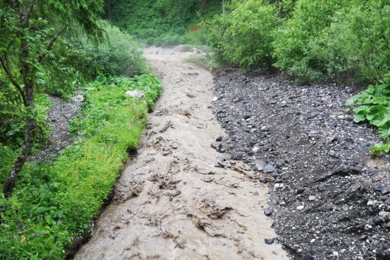 174142d4-6c2c-4a07-9c15-d82308089c88