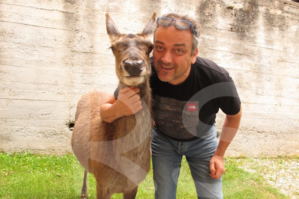 51842328_2229656993724389_3823301550990688256_n