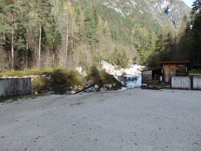 56468224_786741888362388_3015907468107579392_n