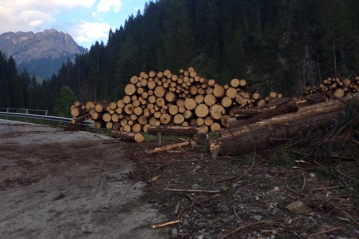 67135980_2442536002433126_5322345042528960512_n