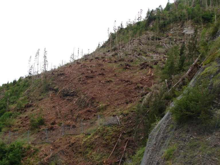 67294688_2454981494521910_3458130632482226176_o