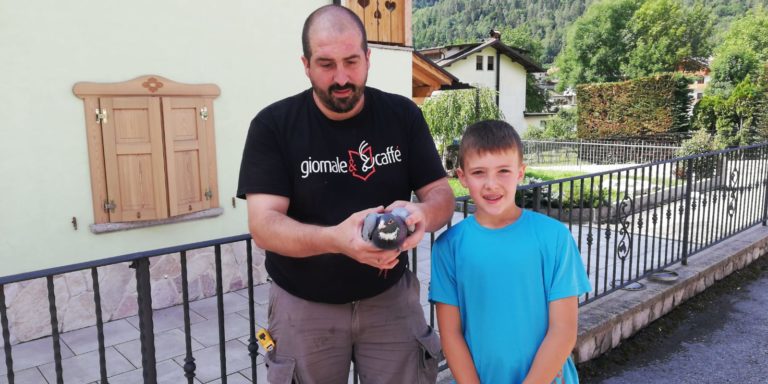 916c5f8a-3500-4afc-857b-8ac8f9ff1aca