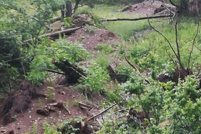 WhatsApp Image 2019-07-03 at 16.49.11