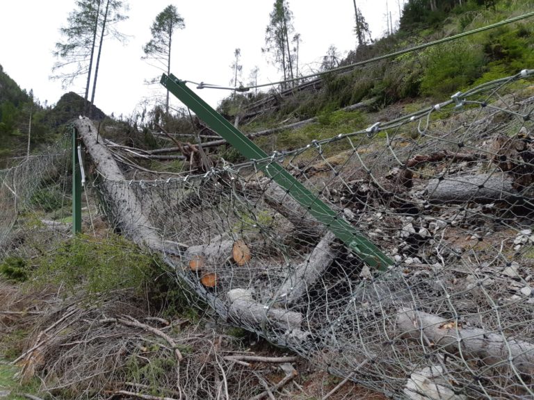 WhatsApp Image 2019-07-05 at 07.03.22