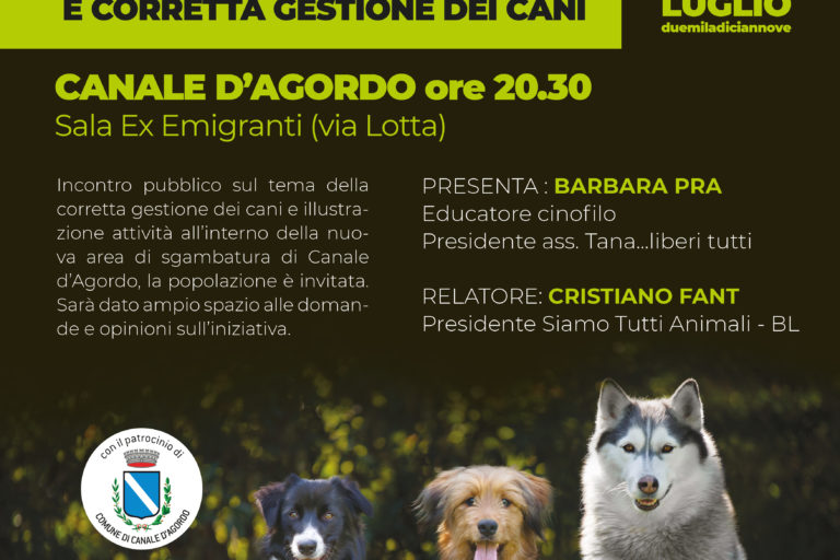 campo-canale