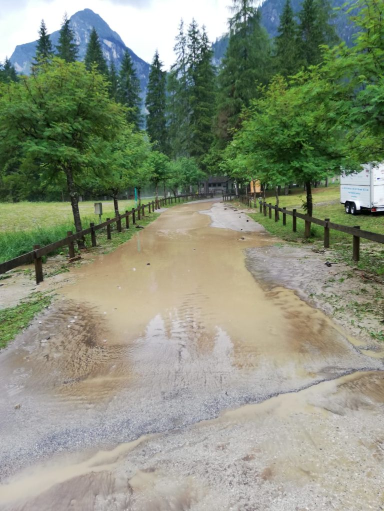 d1830d6e-e49c-4a59-b5ec-820b837b9312