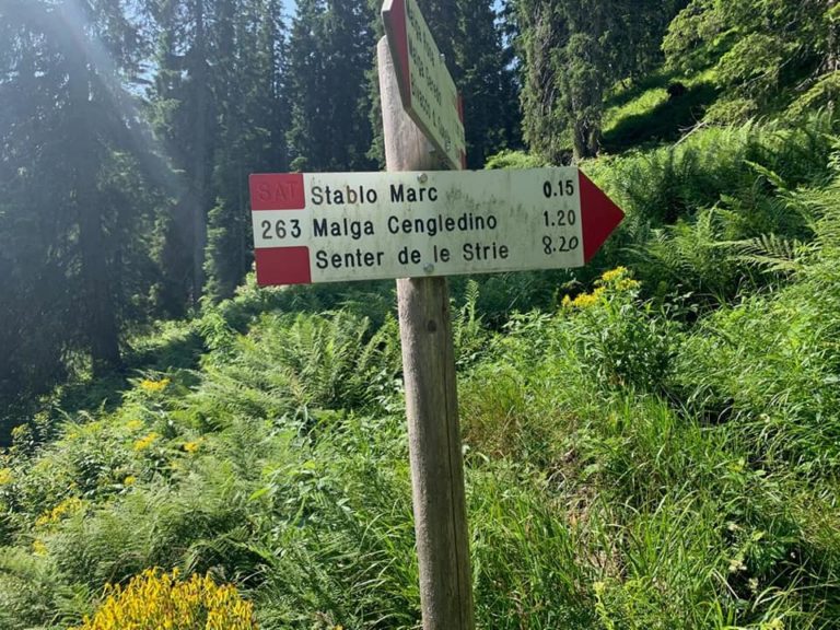 68379552_2171369636418846_4633935903230787584_n