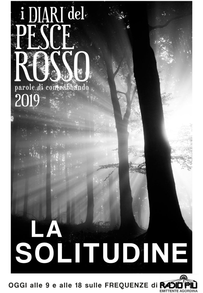 POSTCARDdiario004solitudine