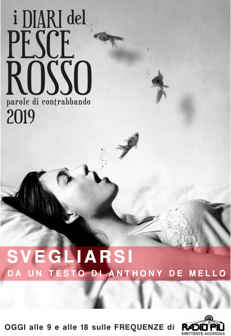 POSTCARDdiario005svegliarsi