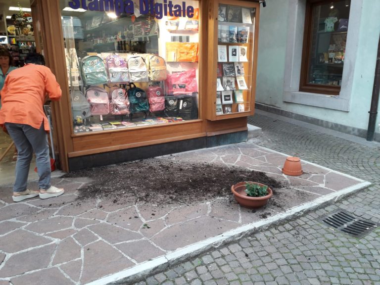 WhatsApp Image 2019-08-05 at 08.08.11