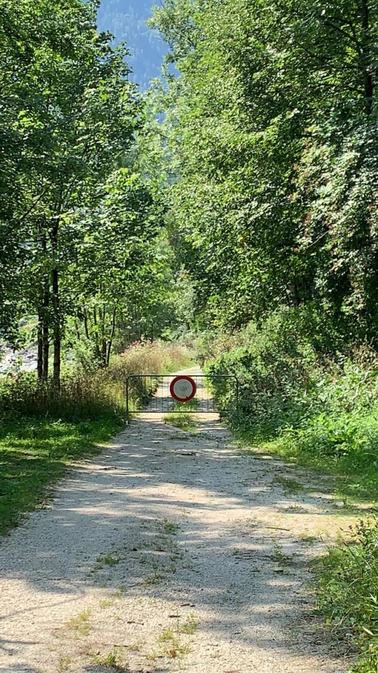 WhatsApp Image 2019-08-06 at 11.18.35