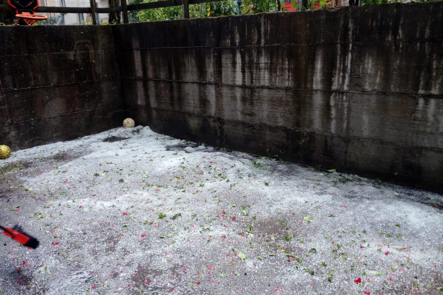 WhatsApp Image 2019-08-06 at 18.16.16 (1)