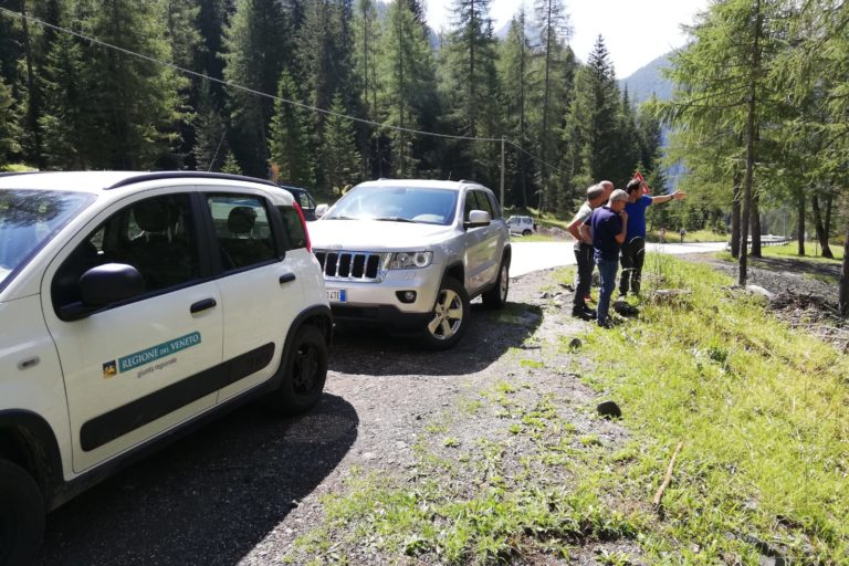 aba5c52a-8d9e-41b5-a0fe-707567aeb252