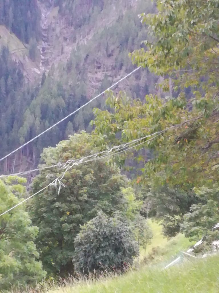 0ed81c3a-23cf-4b62-a047-068f15d8c69f