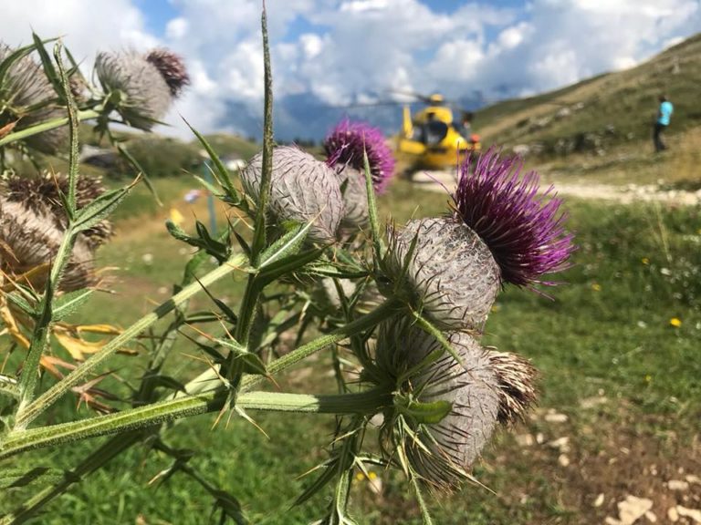 41215867_1153352168160436_3427954072001445888_n